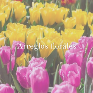 Arreglos florales